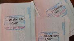 Tres pasaportes cubanos con estampas de Inmigración de parole humanitario, pueden verse en Tampa EEUU, el 21 de diciembre de 2023.Courtesy Photo