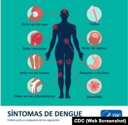Síntomas del dengue. (CDC)